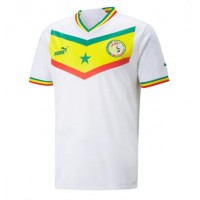 Pánský Fotbalový dres Senegal MS 2022 Domácí Krátký Rukáv